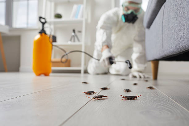 Post-Treatment Bed Bug Interceptor Monitoring in Seaside Heights